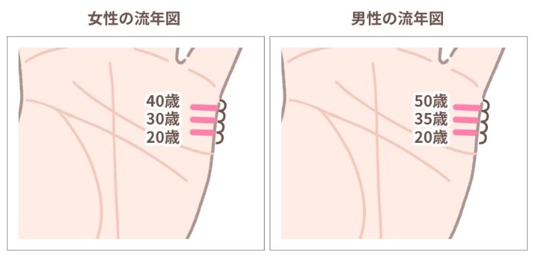 結婚線の流年図