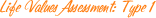 Life Values Assessment: Type 01