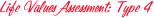 Life Values Assessment: Type 04