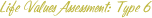 Life Values Assessment: Type 06