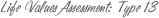 Life Values Assessment: Type 13